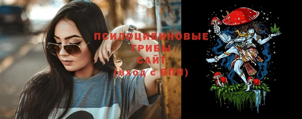 прущий лед Гусь-Хрустальный