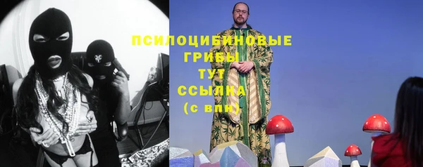 скорость Гусев