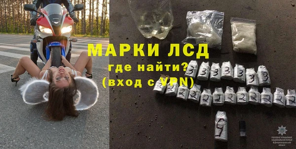сатива Гусиноозёрск