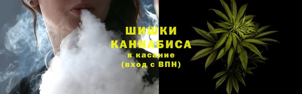 сатива Гусиноозёрск