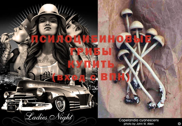 прущий лед Гусь-Хрустальный