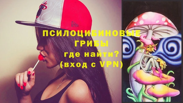 скорость Гусев