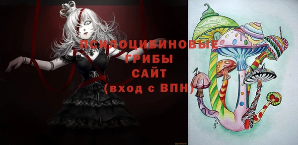 сатива Гусиноозёрск