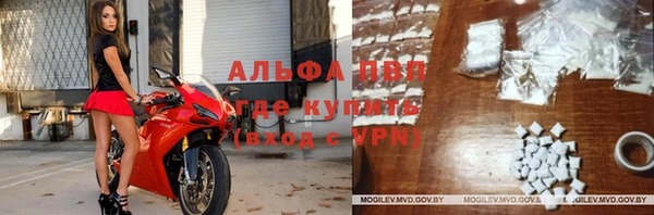 сатива Гусиноозёрск