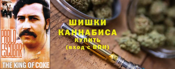 сатива Гусиноозёрск
